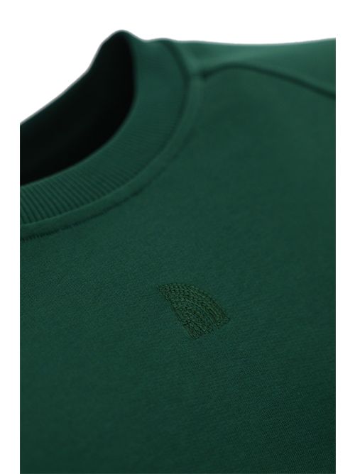 Felpa RMST Logo Relaxed Verde The North Face | NF0A8C396GI1